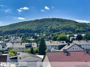 Blick vom Balkon - Springe: Vermietete 1-Zimmer-ETW mit Stellplatz!