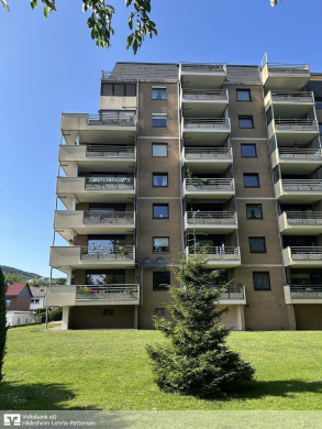 Gebäudeansicht Rückseite - Springe: Vermietete 1-Zimmer-ETW mit Stellplatz!