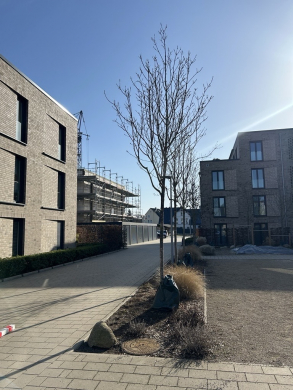 Außensicht Hof - Moderne Neubauwohnungen – 2 bis 4 Zimmer – Jetzt vormerken lassen!